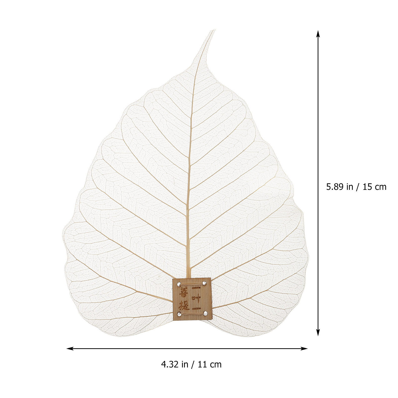 Sitko do herbaty w kształcie l – Home Bar Supplies recenzja i cena